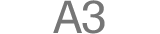 A3